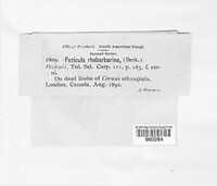 Image Associated With the Occurence